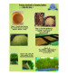 AgroStudio Eco Solar Green Fodder Hyroponics 24 Trays